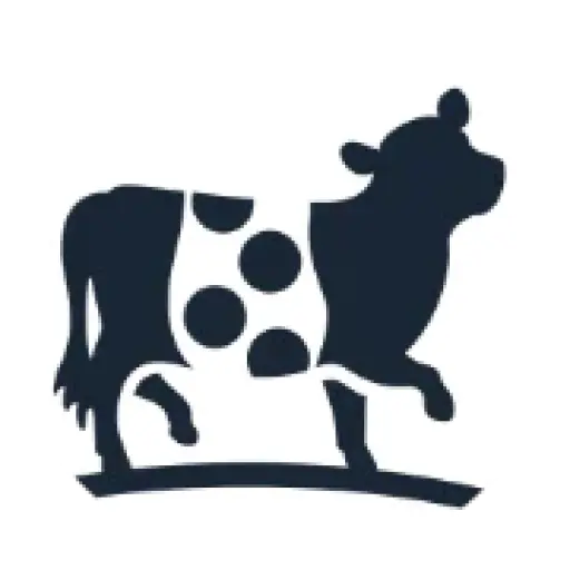 Belted Cow