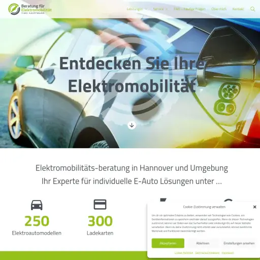 Beratung für Elektromobilität - Timo Kauffmann