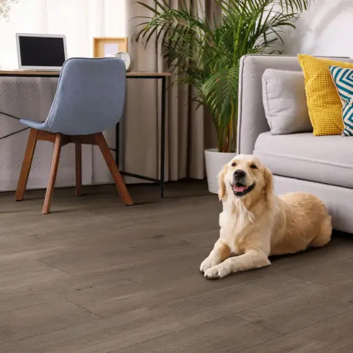 Best Floor for Dogs