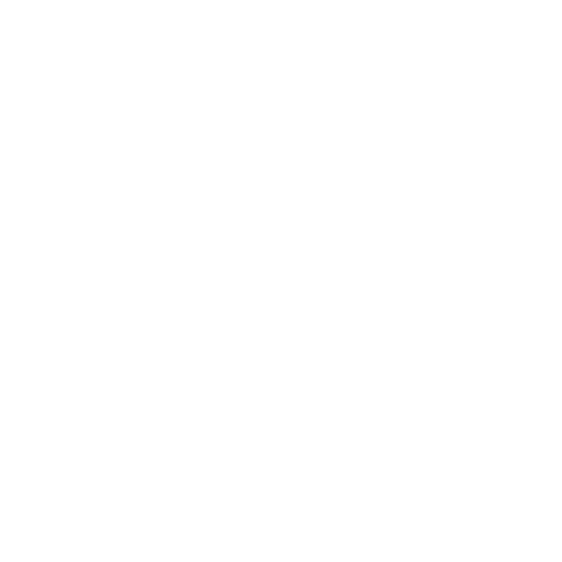 BEX Sunglasses