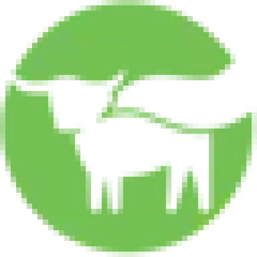 Beyond Meat