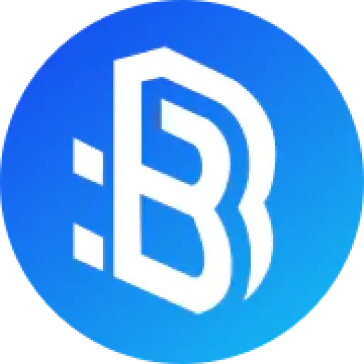 bidaochain.com