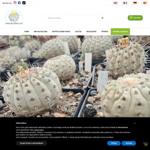 Big Cactus