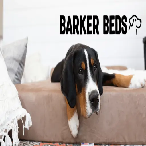 bigbarker.com