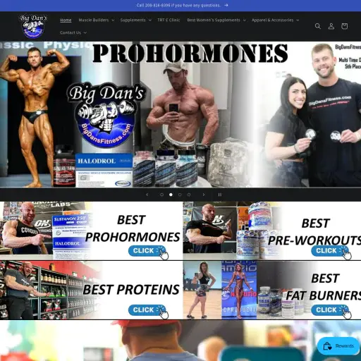 Bigdansfitness