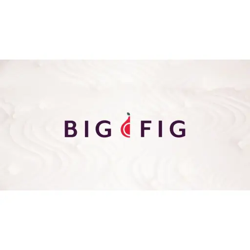 Big Fig Mattress