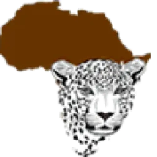 Bigmacafricasafaris