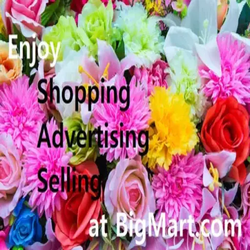 Big Mart