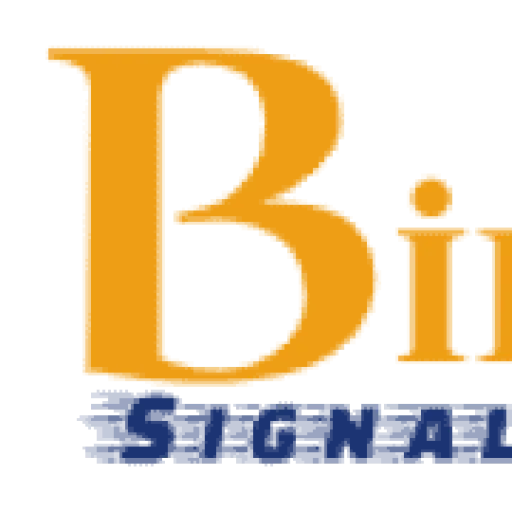 Binarysignalsdream