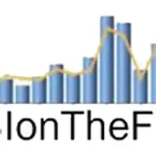 BI on The Fly Inc.
