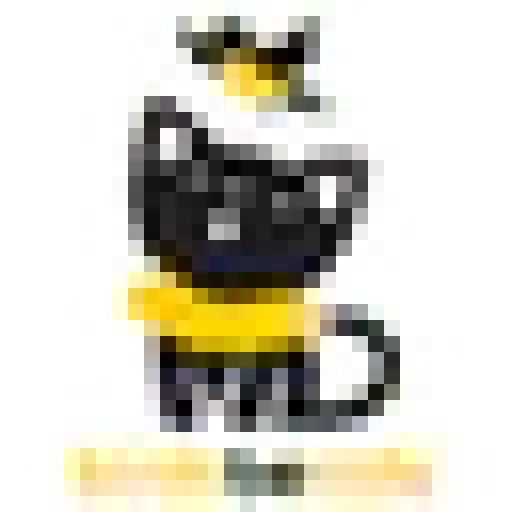 birdsbesafe.com