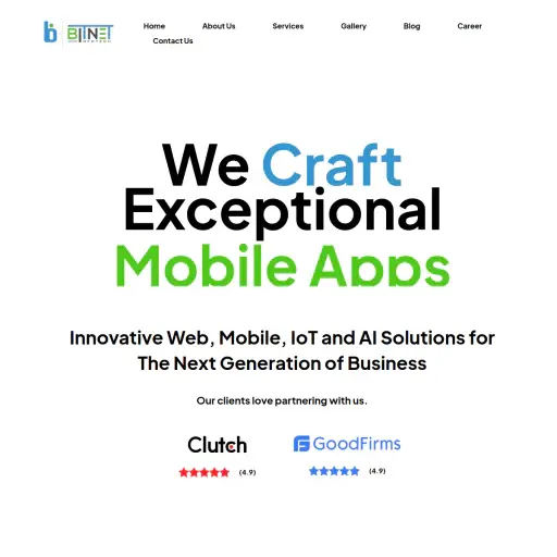 bitnetinfotech.com
