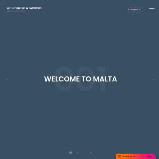 bizconsultmalta.com