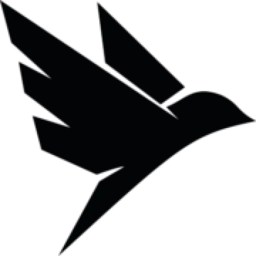 BlackBird Computers