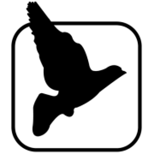 Blackbird Corporate Ltd