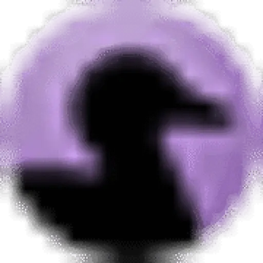 Black Duck Software