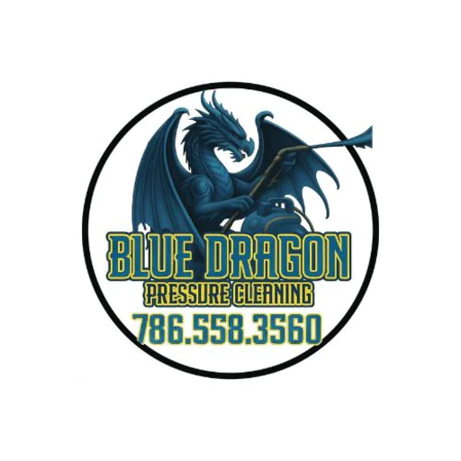 Blue Dragon Pressure Cleaning