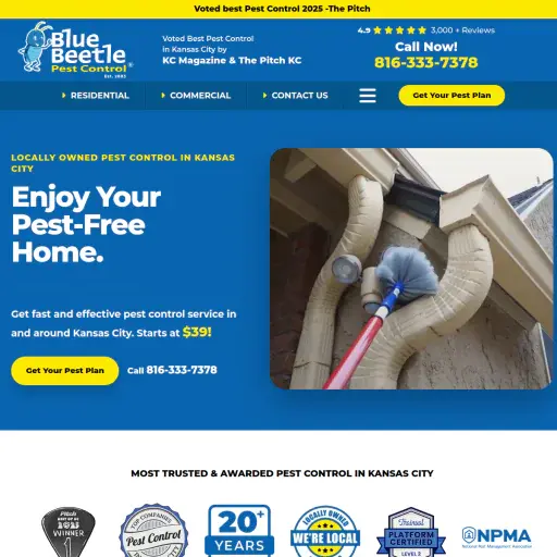 Blue Beetle Pest Control