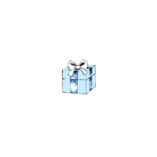 Blue Box Boutique Inc