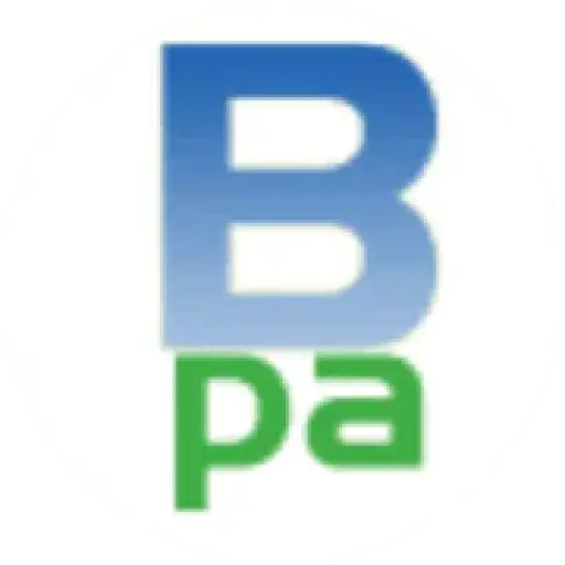 Blue Payment Agency
