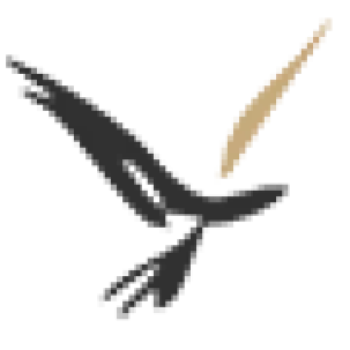 Best Migration Services