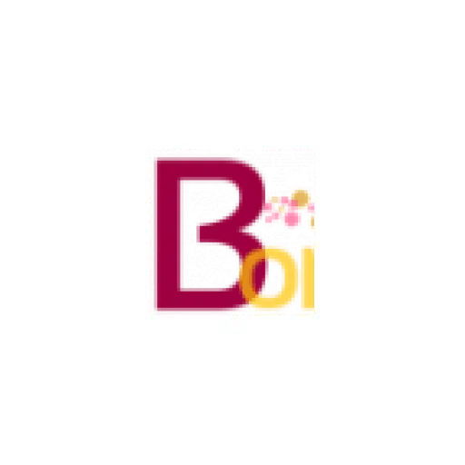 bonadvisor.com