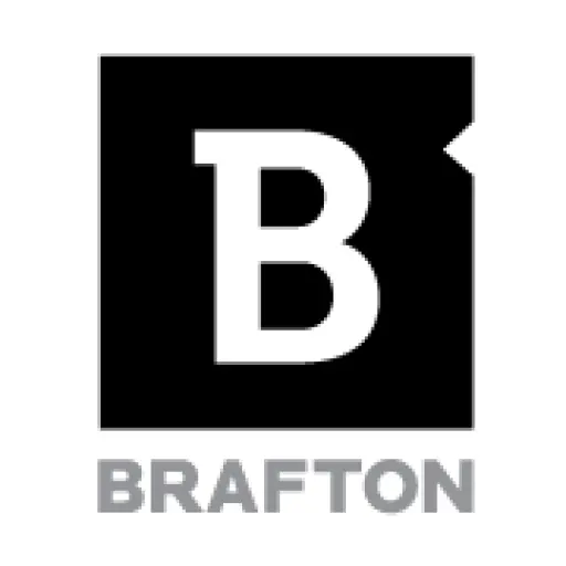 Brafton . Custom News Marketing