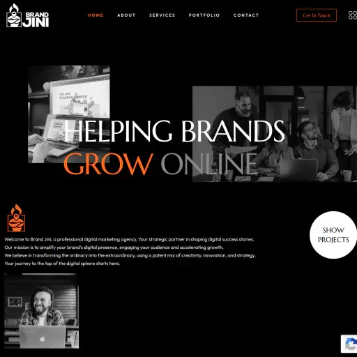 Brandjini