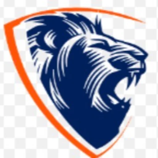 Brave Movers Co