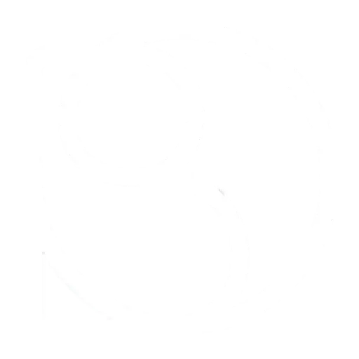 Brimoption