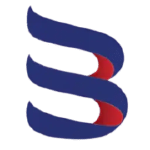 BRITWIS LIMITED