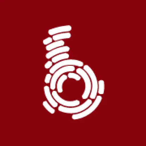 BRYLIX LLC