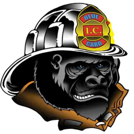 Chief Alan Brunacini