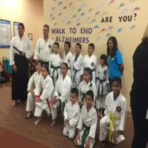 Budo Zone