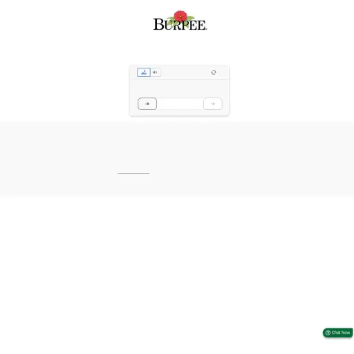 Burpee