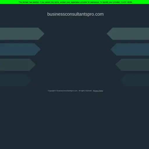 Business Consultants Pro