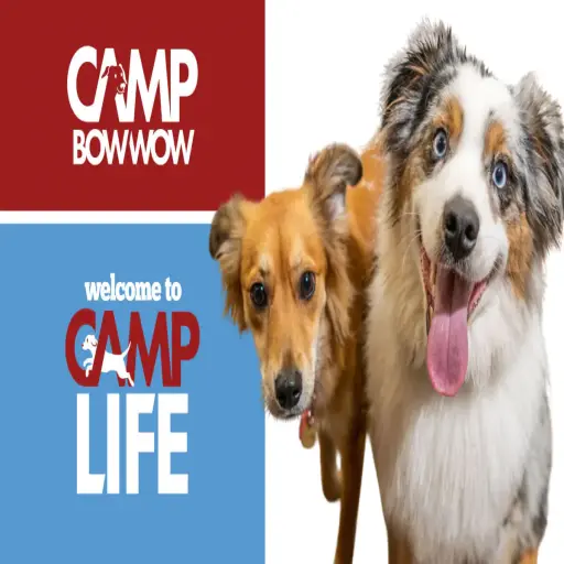 Camp Bow Wow