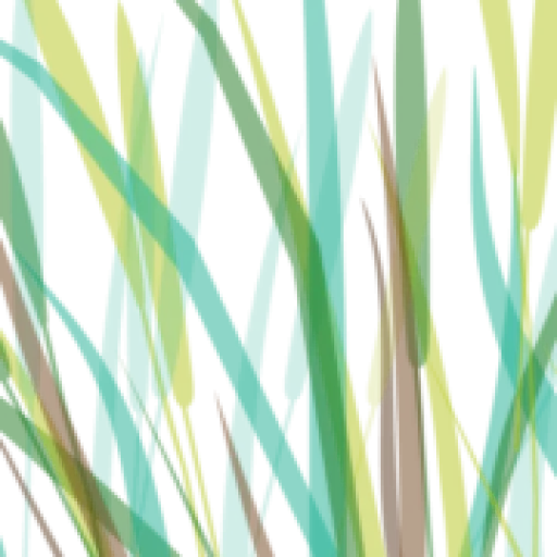 CapeSpace