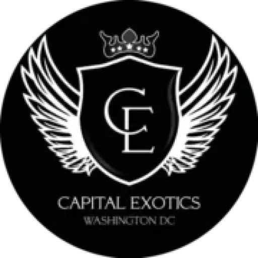 Capitalexotic
