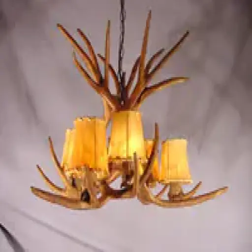 Cdnantler