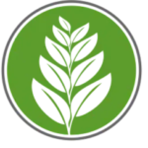 celadonrecovery.com
