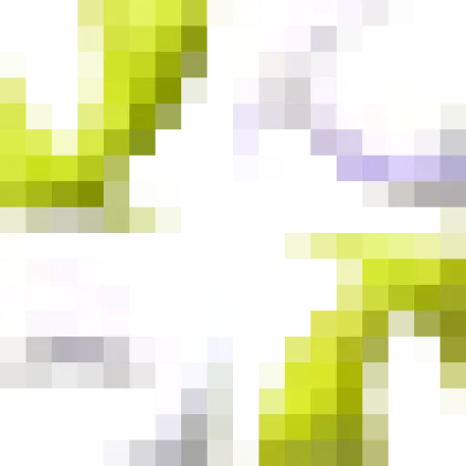 Certkingdom