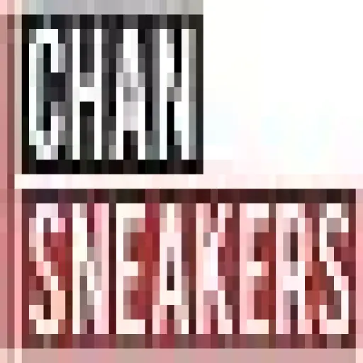chanzsneakers.co