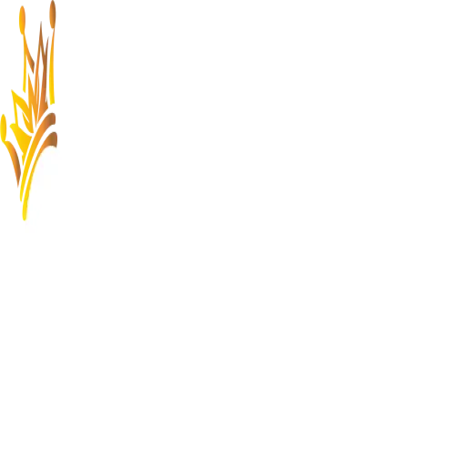 Cheapily