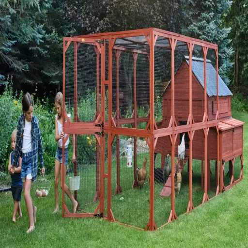 Chicken Coop