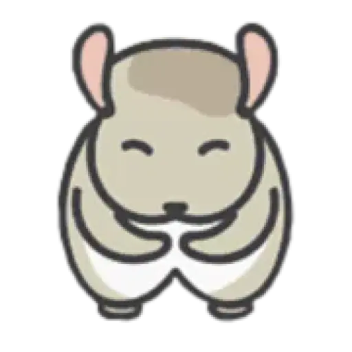 chinchillasale.com