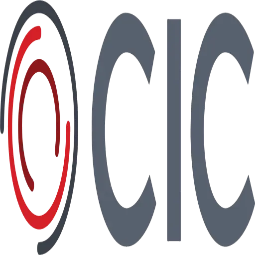 CIC Consulting Group
