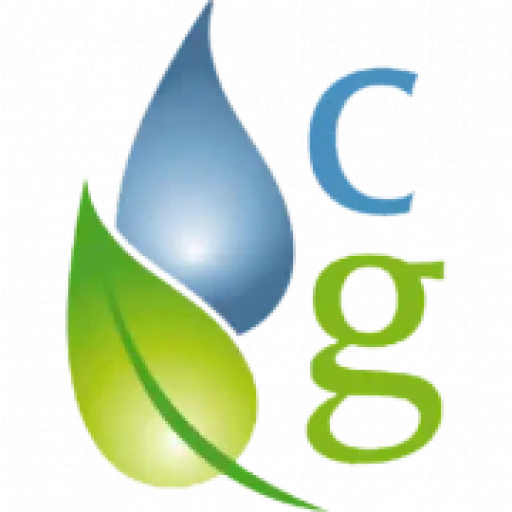 Cleangreencarpetcleaning