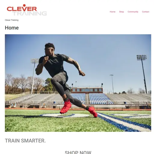 Clever Training
