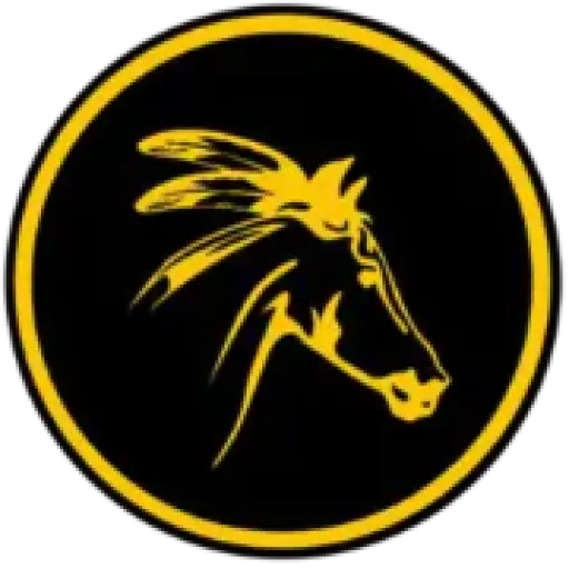CM Speedrunners